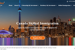 flyingimmigration-300x206-1
